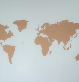 Innovative Raumgestaltung mit recycelten Kork-Platten