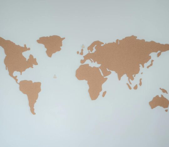 Innovative Raumgestaltung mit recycelten Kork-Platten