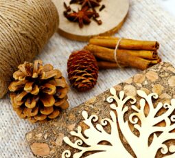 Störungsfreies Home-Office: Optimale Akustik durch innovative Korkmöbel