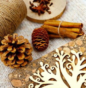 Störungsfreies Home-Office: Optimale Akustik durch innovative Korkmöbel