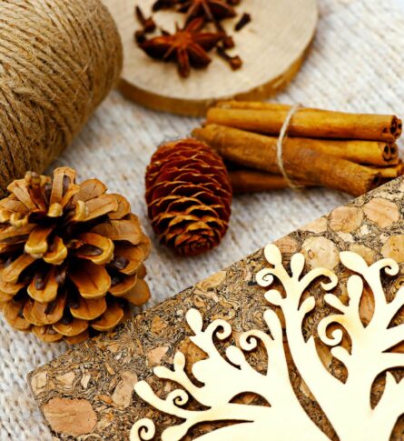 Störungsfreies Home-Office: Optimale Akustik durch innovative Korkmöbel