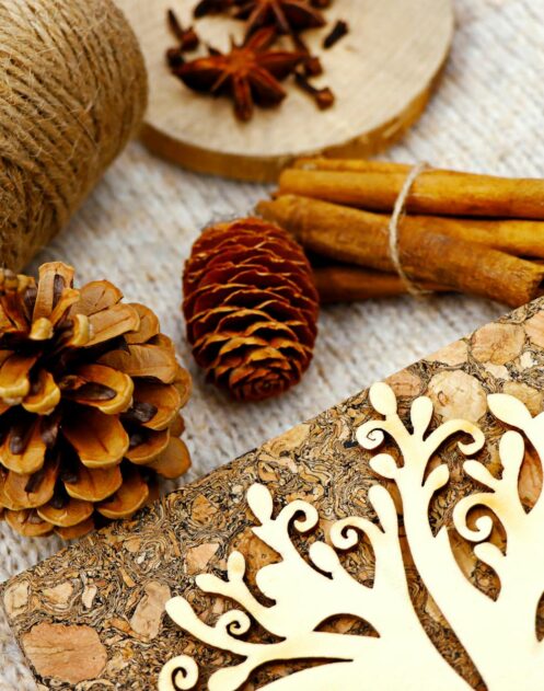 Störungsfreies Home-Office: Optimale Akustik durch innovative Korkmöbel