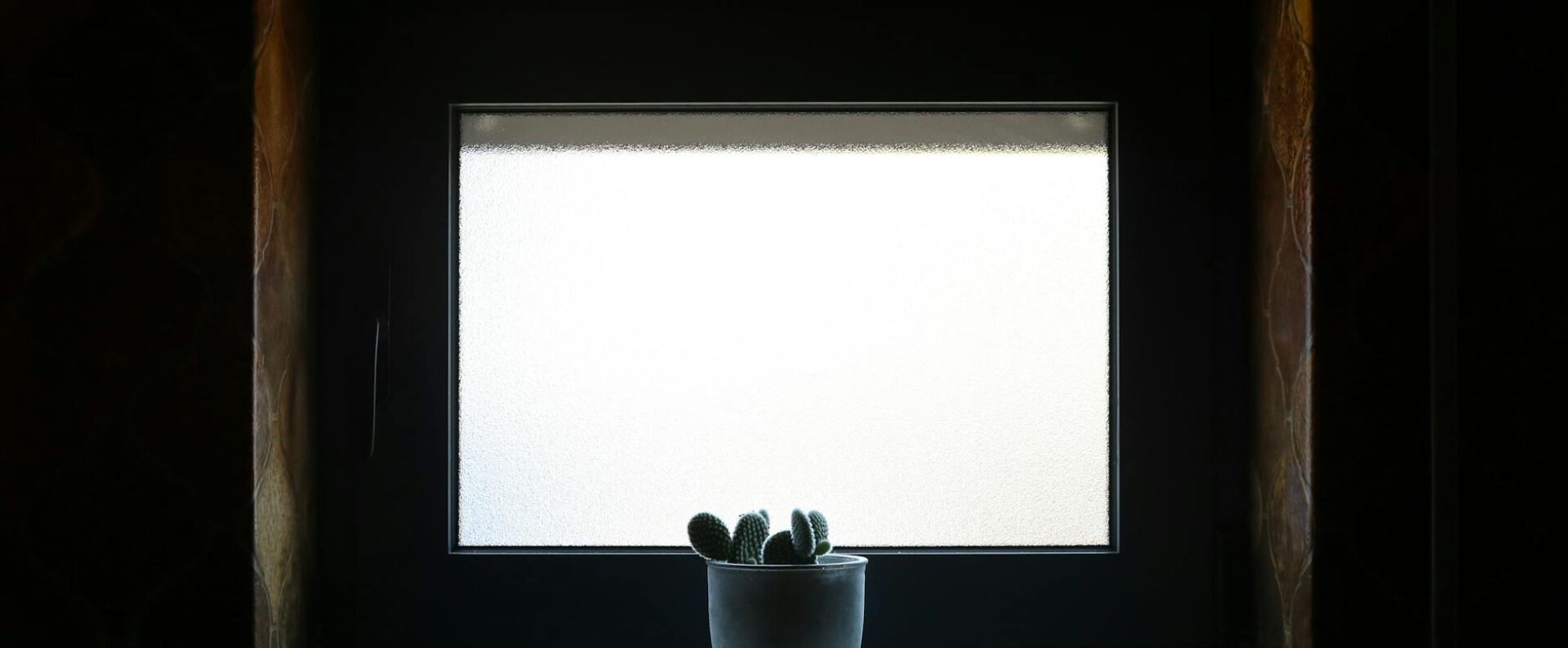 Fensterbank-Biofilter 2.0: Die atmende Simsleiste für saubere Luft, leisere Räume und ein stabileres Mikroklima