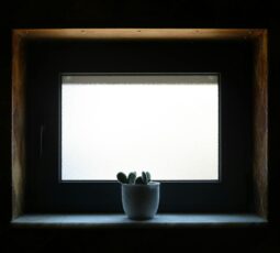 Fensterbank-Biofilter 2.0: Die atmende Simsleiste für saubere Luft, leisere Räume und ein stabileres Mikroklima