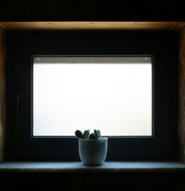 Fensterbank-Biofilter 2.0: Die atmende Simsleiste für saubere Luft, leisere Räume und ein stabileres Mikroklima