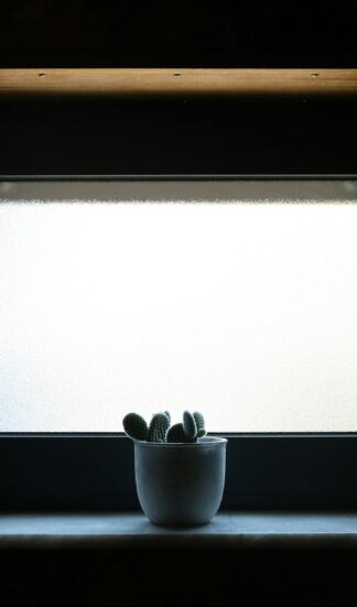 Fensterbank-Biofilter 2.0: Die atmende Simsleiste für saubere Luft, leisere Räume und ein stabileres Mikroklima