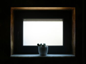 Fensterbank-Biofilter 2.0: Die atmende Simsleiste für saubere Luft, leisere Räume und ein stabileres Mikroklima