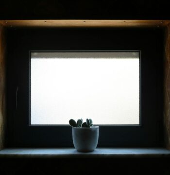 Fensterbank-Biofilter 2.0: Die atmende Simsleiste für saubere Luft, leisere Räume und ein stabileres Mikroklima