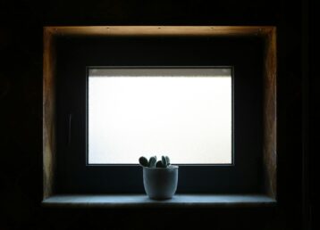 Fensterbank-Biofilter 2.0: Die atmende Simsleiste für saubere Luft, leisere Räume und ein stabileres Mikroklima