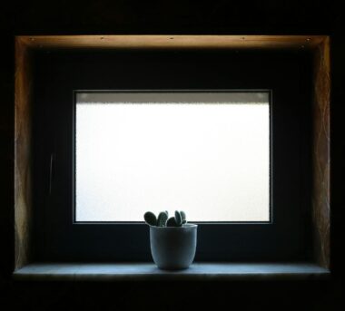 Fensterbank-Biofilter 2.0: Die atmende Simsleiste für saubere Luft, leisere Räume und ein stabileres Mikroklima