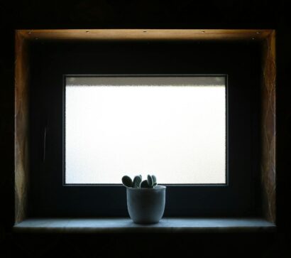 Fensterbank-Biofilter 2.0: Die atmende Simsleiste für saubere Luft, leisere Räume und ein stabileres Mikroklima