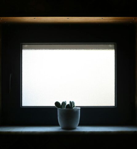 Fensterbank-Biofilter 2.0: Die atmende Simsleiste für saubere Luft, leisere Räume und ein stabileres Mikroklima