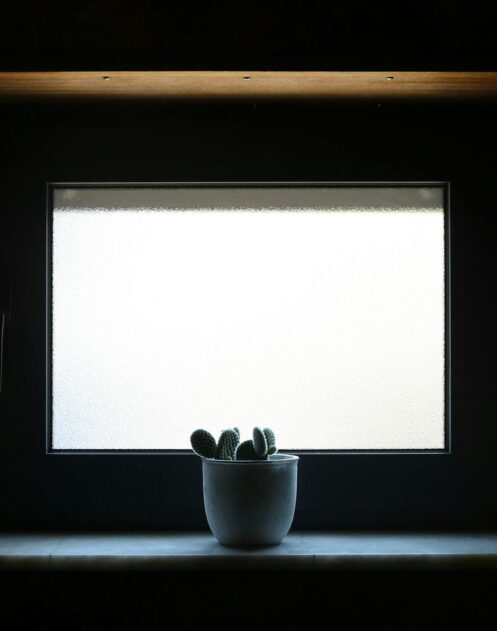 Fensterbank-Biofilter 2.0: Die atmende Simsleiste für saubere Luft, leisere Räume und ein stabileres Mikroklima