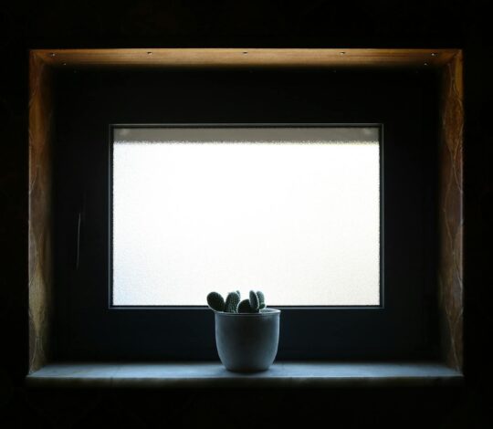 Fensterbank-Biofilter 2.0: Die atmende Simsleiste für saubere Luft, leisere Räume und ein stabileres Mikroklima