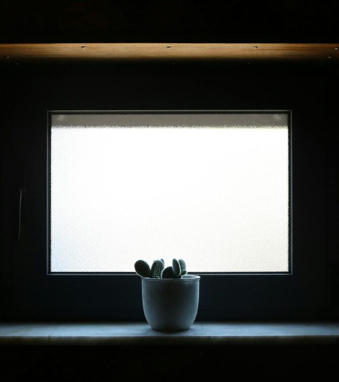 Fensterbank-Biofilter 2.0: Die atmende Simsleiste für saubere Luft, leisere Räume und ein stabileres Mikroklima