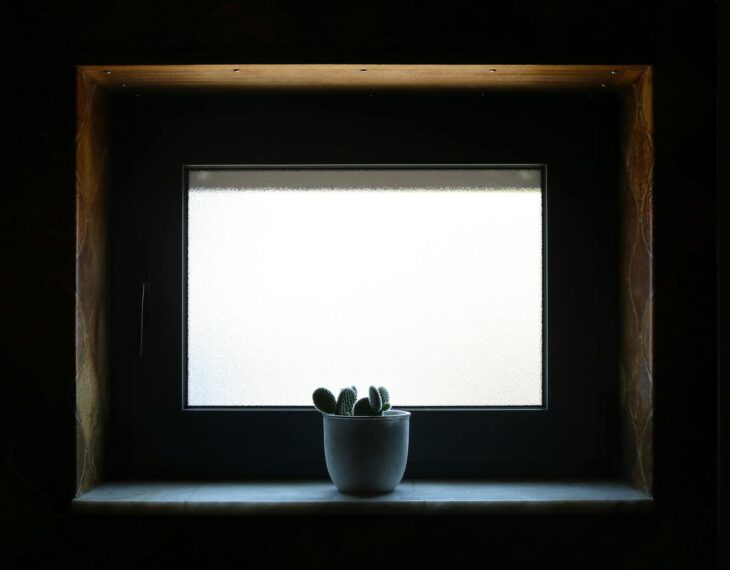 Fensterbank-Biofilter 2.0: Die atmende Simsleiste für saubere Luft, leisere Räume und ein stabileres Mikroklima