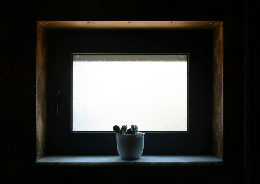 Fensterbank-Biofilter 2.0: Die atmende Simsleiste für saubere Luft, leisere Räume und ein stabileres Mikroklima