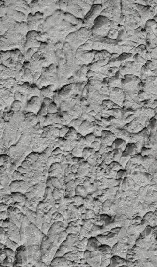 Feuchte Kellerwand von innen sanieren: Diagnostik, Abdichtung und Innenausbau ohne Folgeschäden